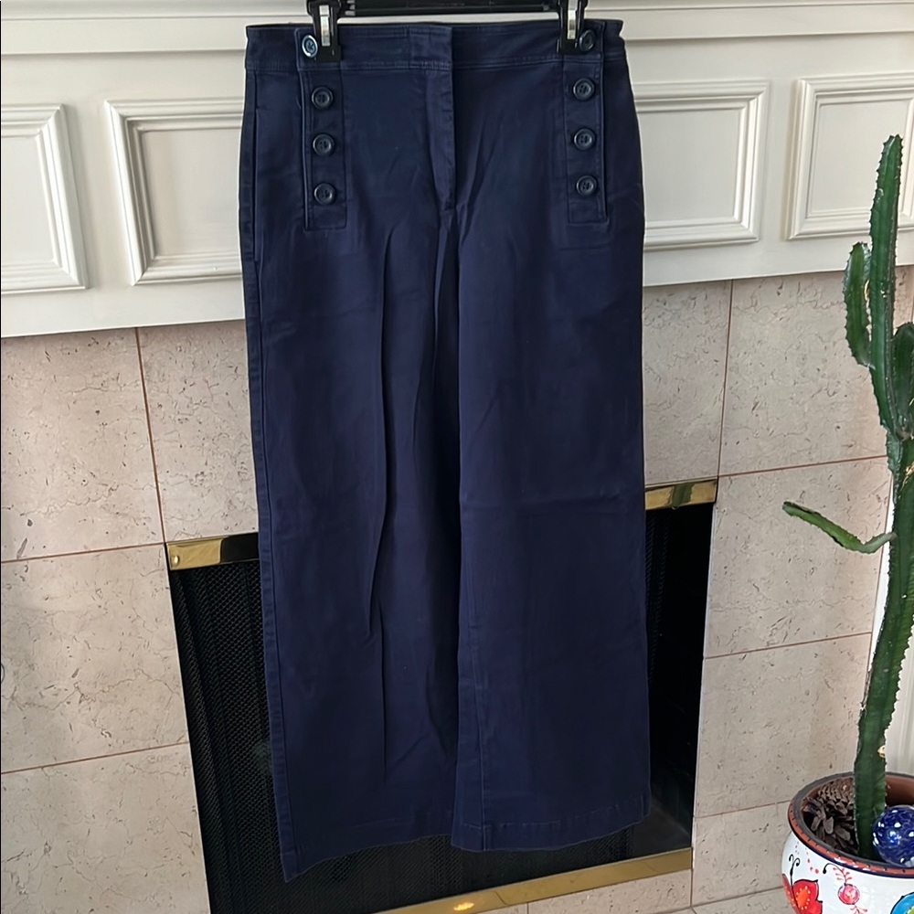 Ann Taylor Men's Dark Blue Chinos